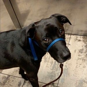 Meet your Posher, Jay